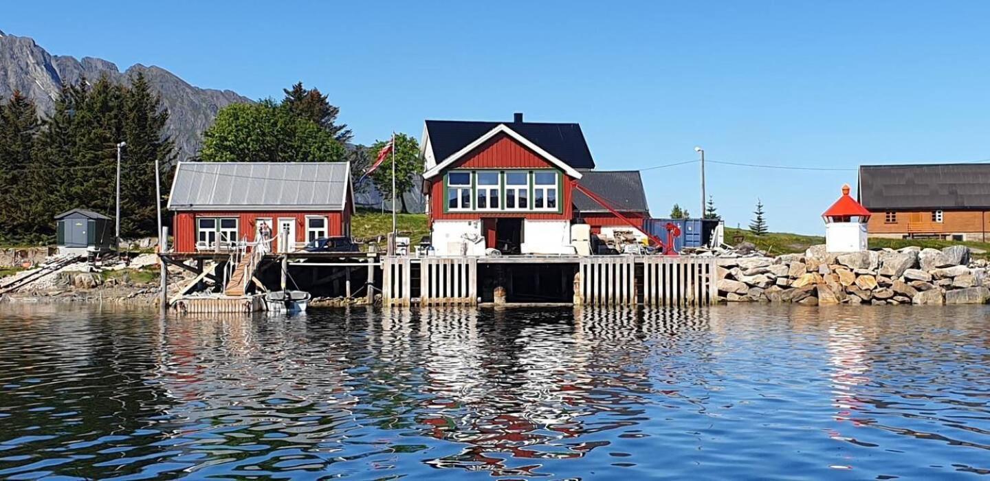 Arctic Lofoten Mini Retreat - Enjoy The Silence! Vestvagoy Dış mekan fotoğraf